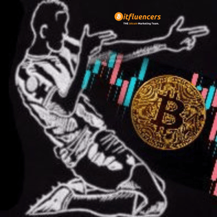 Bifluencers-THE-Bitcoin-Marketing-Team-Social-Media-Shilling-for-Bitcoin-Companies-Project-Zebra