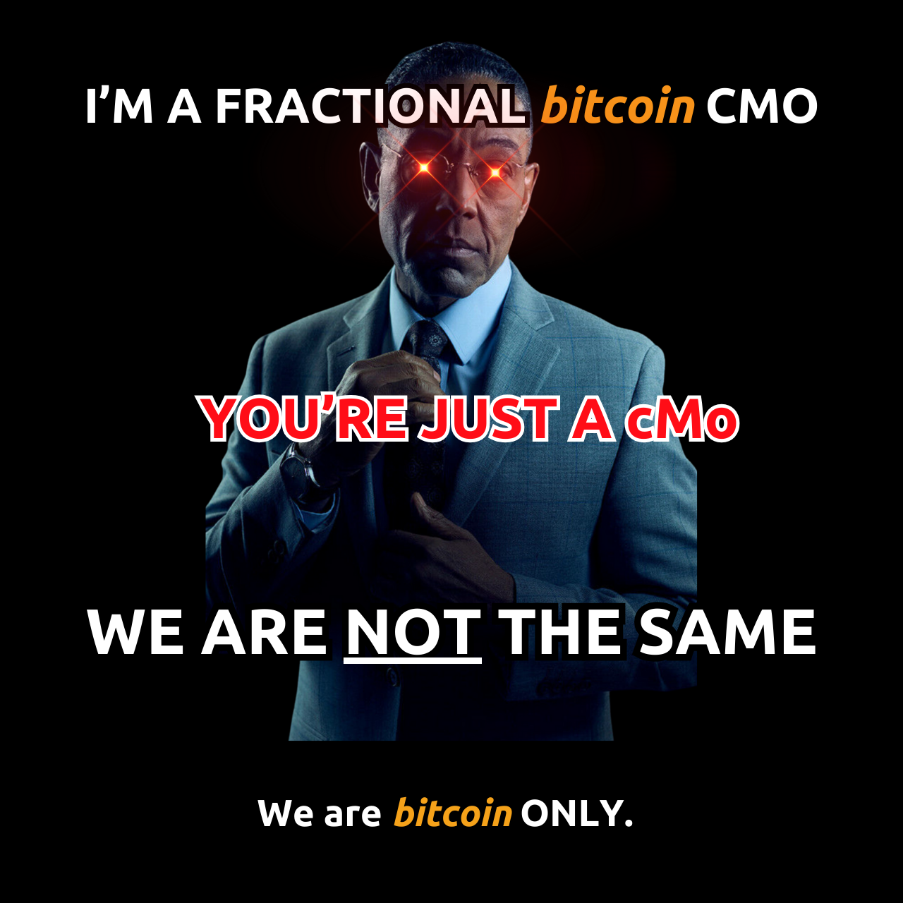 Bitfluencers Fractional CMO for Bitcoin only company